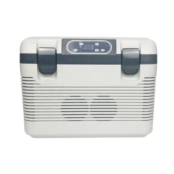 19-литровый термоэлектрический охладитель и грелка с морозильной камерой переменного тока 12 В постоянного тока Портативный мини-холодильник для кемпинга Автомобильный холодильник-охладитель для холодильника