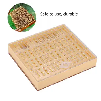Ячейка для выращивания пчелиной матки, коробка для набора чашек, чехол для системы Cupularve, инструмент для пчеловодства, электроинструмент