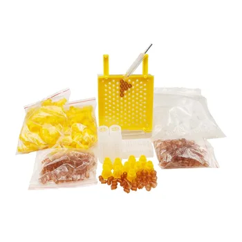 Jenter Kit Пчеловодные маточники Коричневый держатель для клеток Коробка для инкубатора для разведения пчел Новые пластиковые продукты пчеловодства из чистого пластика
