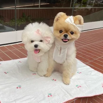 Стиль INS Корейский стиль, полностью хлопок, французская вишневая вышивка, Подвесной ремешок на шее, юбка без рукавов, юбка для собак, одежда для домашних животных