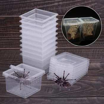 1 шт. Домик для насекомых-пауков Коробка для выращивания насекомых Пластиковая Коробка для кормления Клетка для рептилий Инкубационный Контейнер Товары для домашних животных