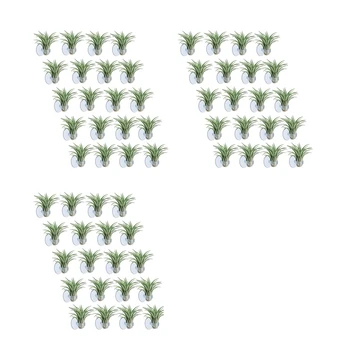 60 Шт Воздушный Держатель Для растений, Горшок Для растений Tillandsia Holder Воздушная Вешалка Для растений С Присоской Для подвешивания (Растения в комплект не входят)